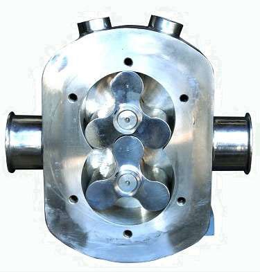 Microsoft Word - Lobe Pmp Brochure